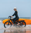 All-Terrain Pro MF002 Ebike